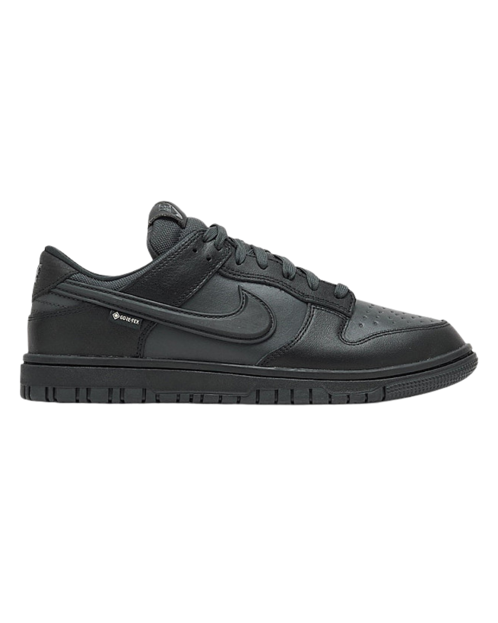 NIKE DUNK LOW GTX