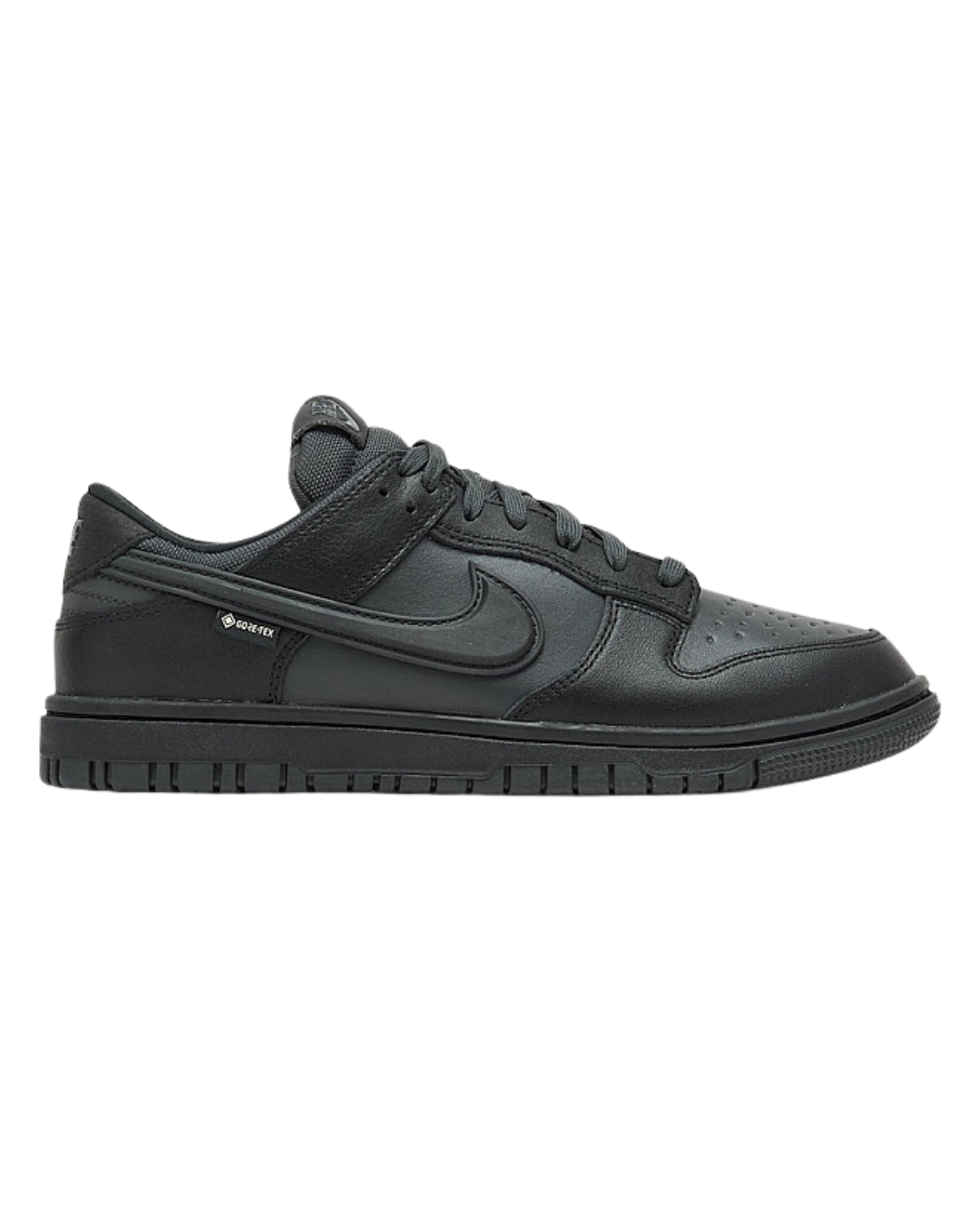 NIKE DUNK LOW GTX