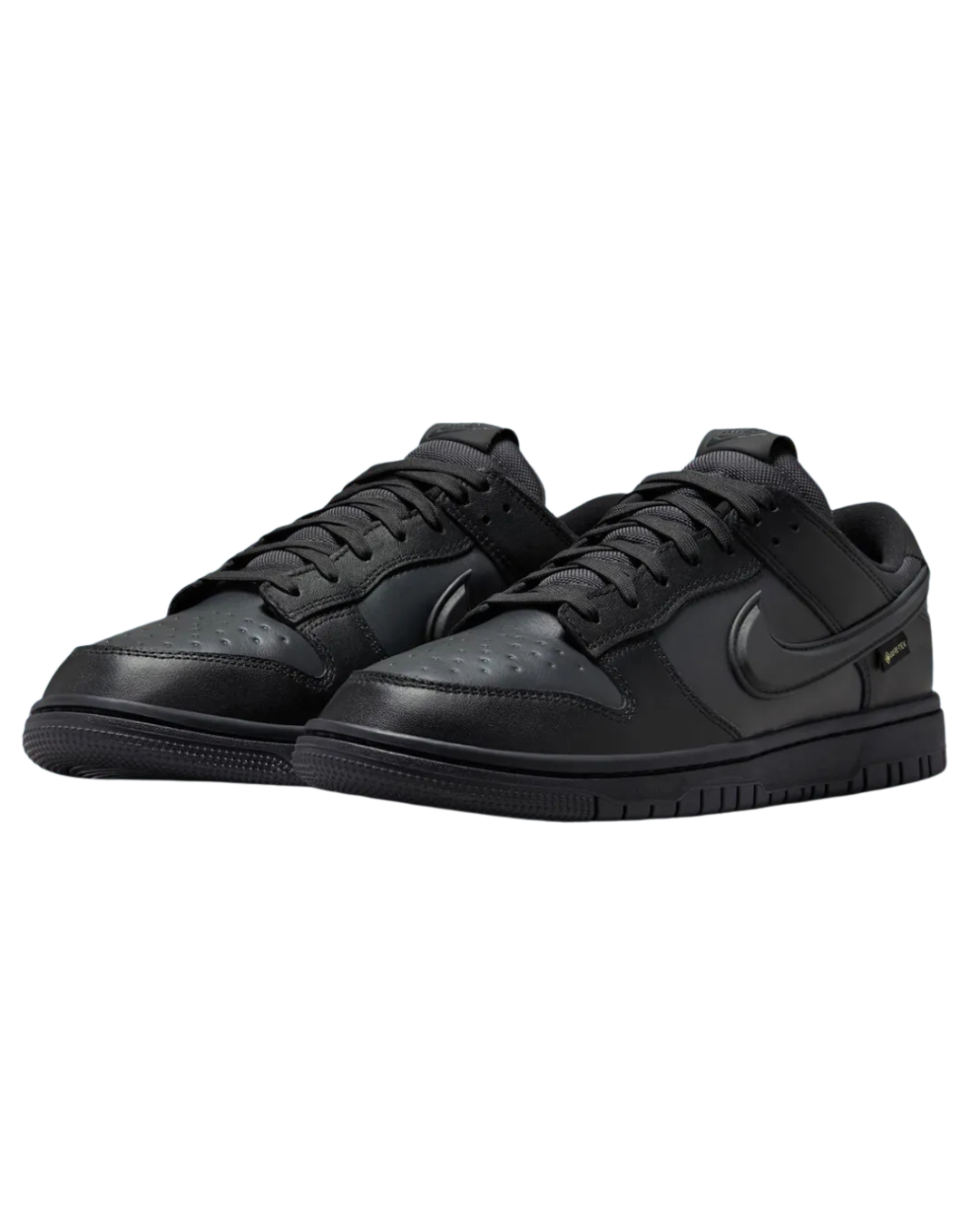 NIKE DUNK LOW GTX